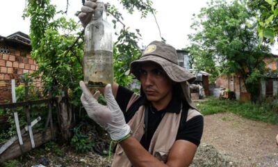 La botella es el principal criadero de mosquitos. Foto: MSP BS.