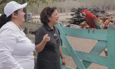 La Ruta del Gua´a es una iniciativa ciudadana para la conservación de las tres especies de Guacamayos que tiene Paraguay. Foto: Gentileza.