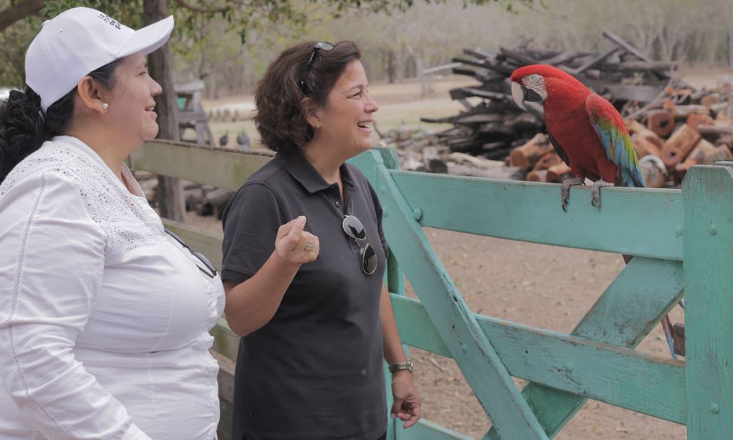 La Ruta del Gua´a es una iniciativa ciudadana para la conservación de las tres especies de Guacamayos que tiene Paraguay. Foto: Gentileza.