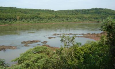 El Poder Ejecutivo declaró área silvestre protegida, bajo categoría de reserva ecológica, a los Humedales de Cerro Tigre. Foto: Gentileza.