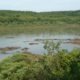 El Poder Ejecutivo declaró área silvestre protegida, bajo categoría de reserva ecológica, a los Humedales de Cerro Tigre. Foto: Gentileza.