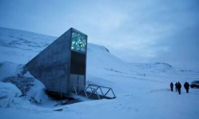 El archivo se encuentra en el archipiélago noruego de Svalbard. Foto: RT.