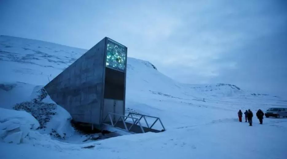 El archivo se encuentra en el archipiélago noruego de Svalbard. Foto: RT.