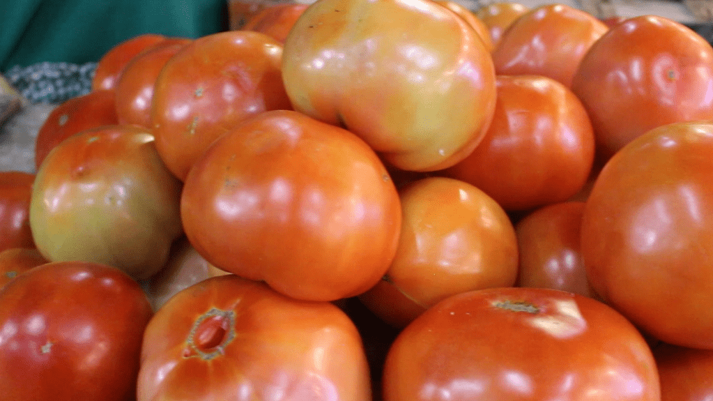 Tomates.