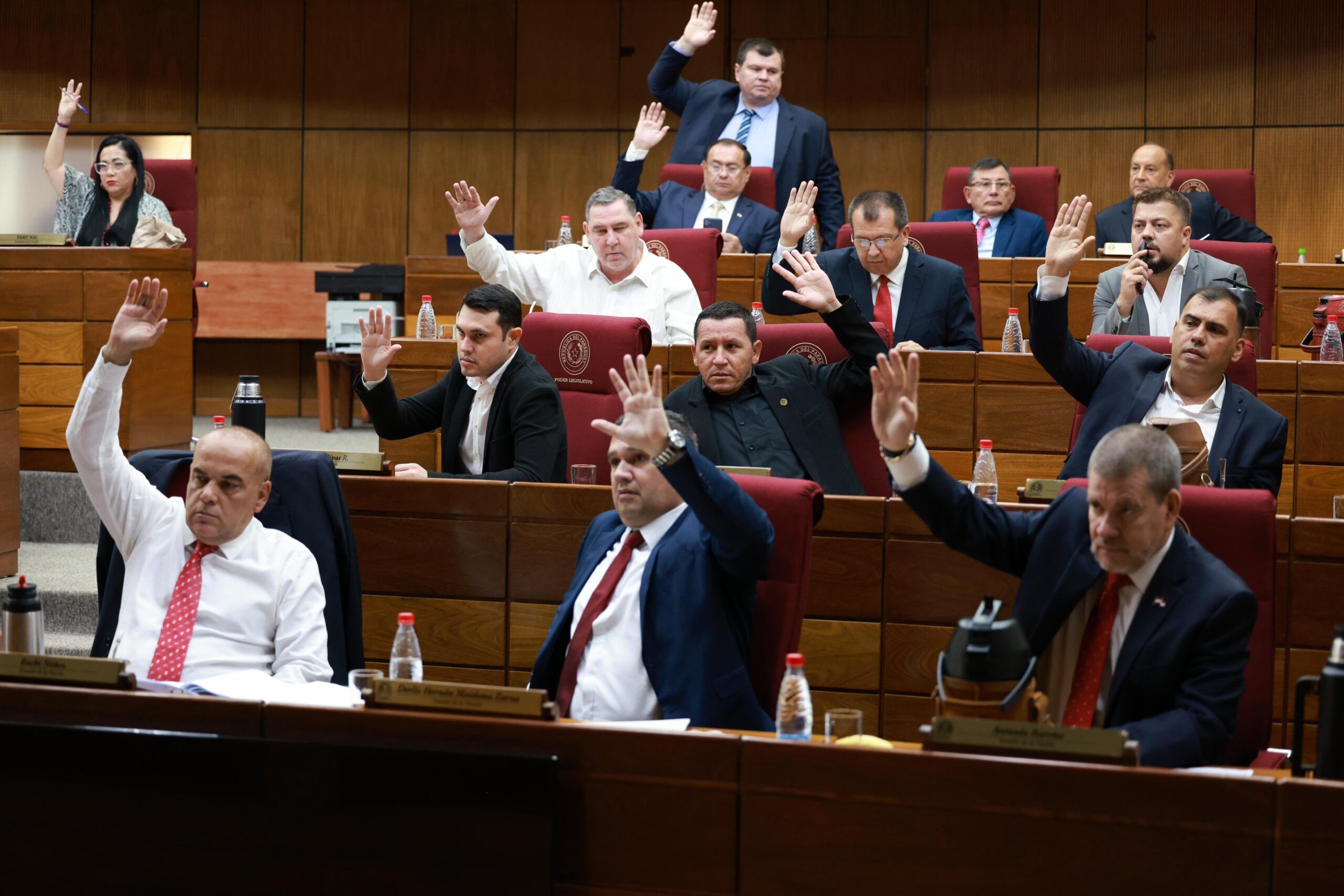 Senadores. Foto: Gentileza.