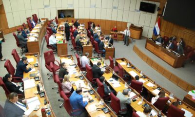 Sesión del Senado. Foto: Gentileza.