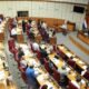 Sesión del Senado. Foto: Gentileza.