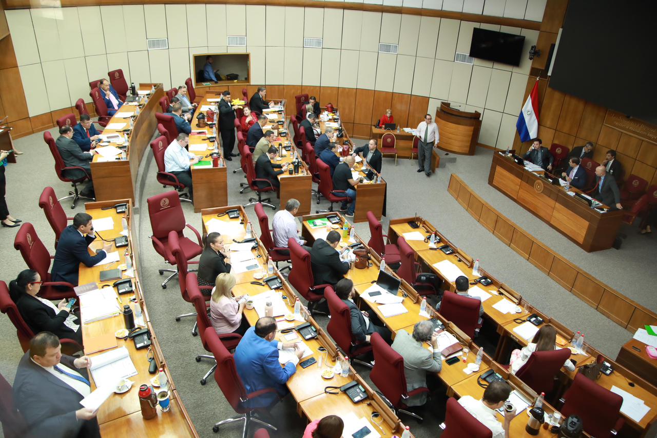 Sesión del Senado. Foto: Gentileza.