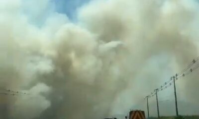 Incendio forestal. Foto: Captura de pantalla.