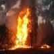 Incendio forestal. Foto: DW.