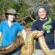 Anaconda verde. Foto:DW.