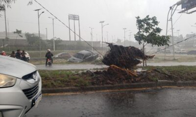 Temporal dejó destrozos en Central. Foto: @AnthonyPaez595