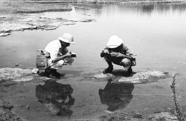 Personal de la Fundación Rockefeller buscando larvas de mosquitos en Ceará, Brasil. Rockefeller Archive Center