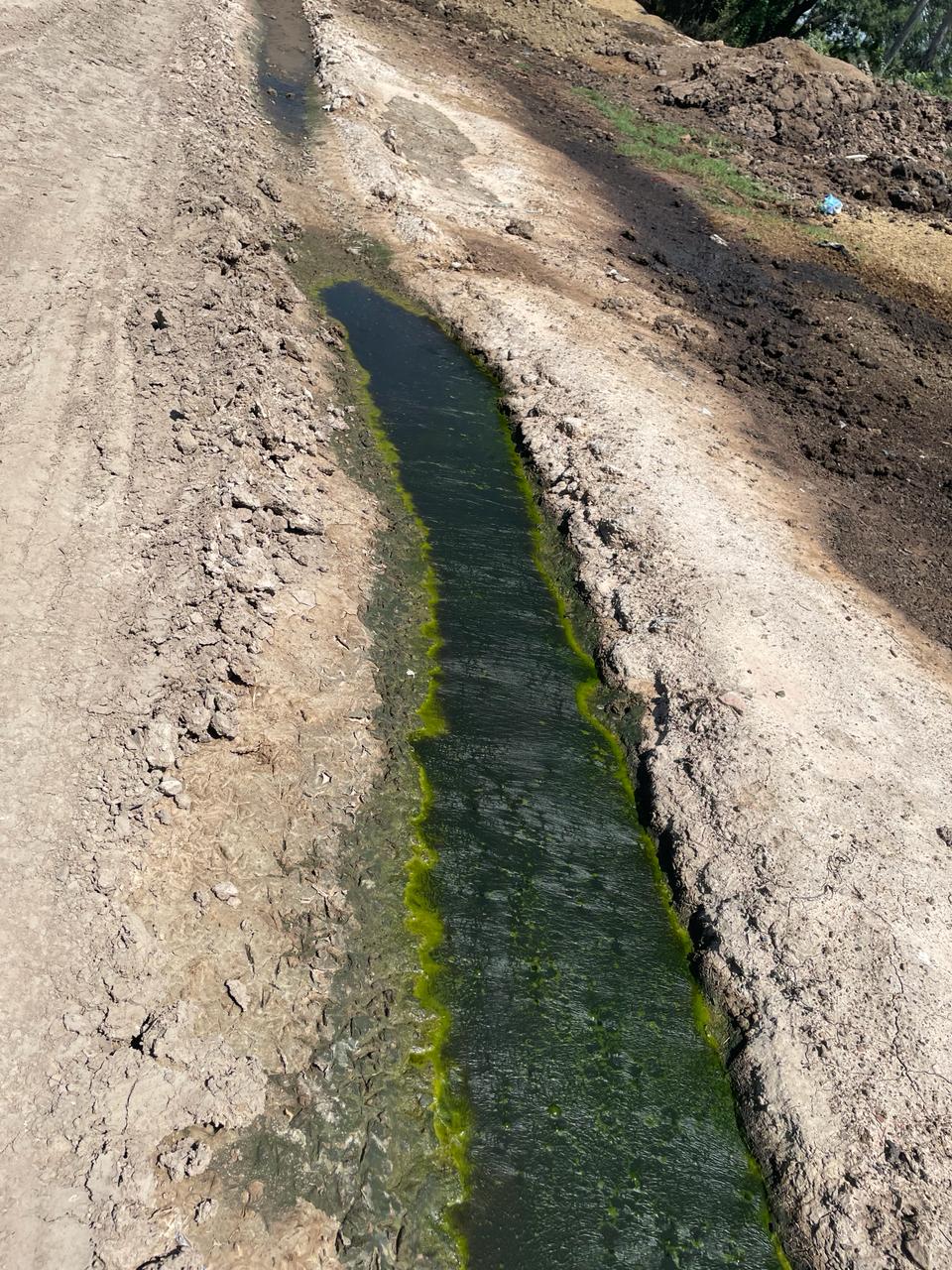 En la zona se constataron delitos ambientales. Foto: Ministerio Público.