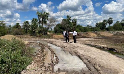 Fiscal del medio ambiente se constituyó en el lugar. Foto: Ministerio Público.