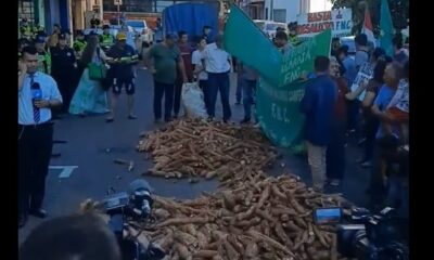 Campesinos regalan mandioca como medida de protesta. Foto: Captura.