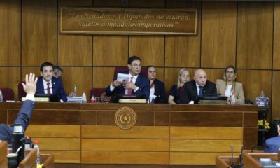 Cámara de Senadores. Foto: Senado.