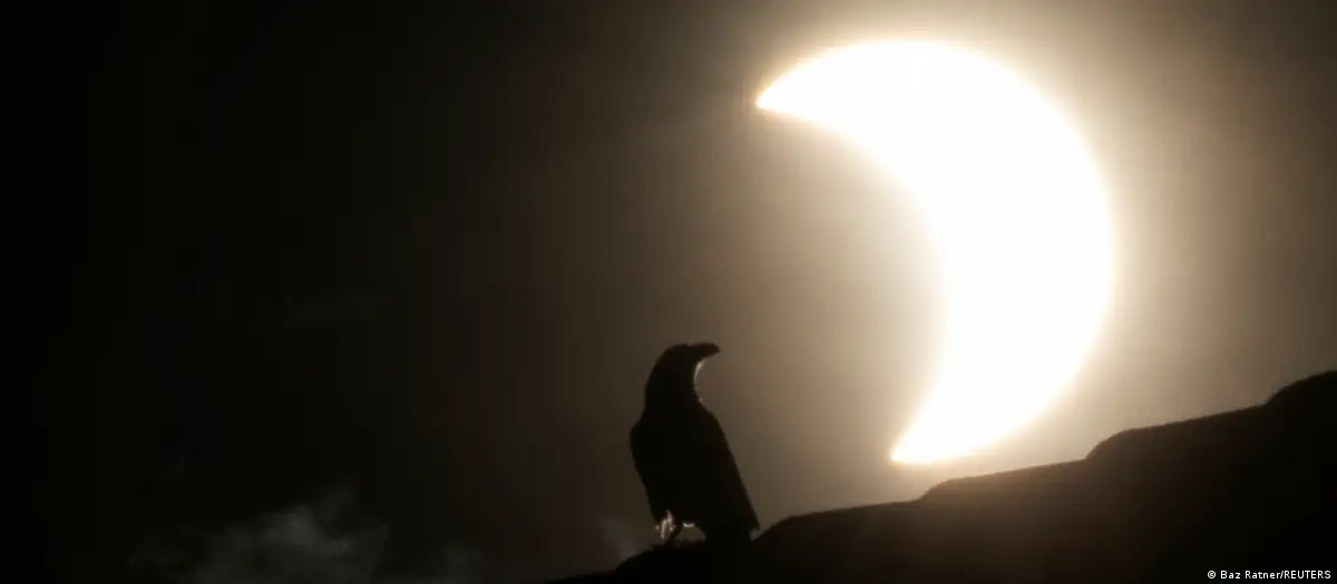 Un cuervo se posa sobre un techo durante un eclipse solar parcial en Nairobi, Kenia, en 2020. Foto: DW.