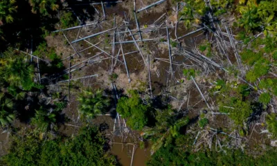 Deforestación en Melgaco, Brasil. Foto. DW.