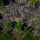 Deforestación en Melgaco, Brasil. Foto. DW.