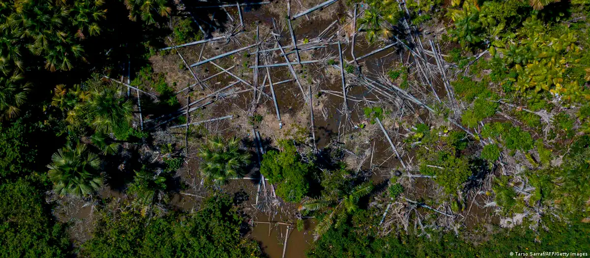 Deforestación en Melgaco, Brasil. Foto. DW.