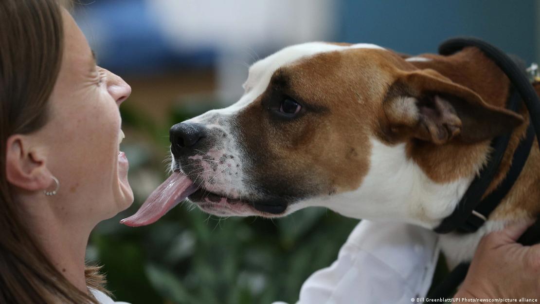 Interacción con perros. Foto: DW.