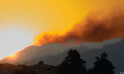 Incendio forestal en México. Foto: DW.