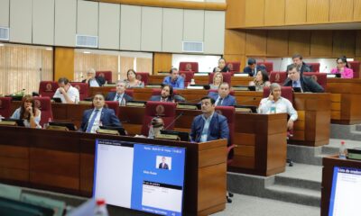 Bancada Democrática de la Cámara de Senadores. Foto: Gentileza.