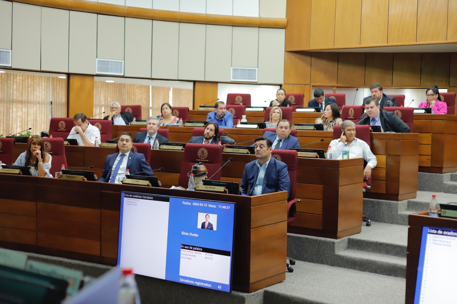 Bancada Democrática de la Cámara de Senadores. Foto: Gentileza.