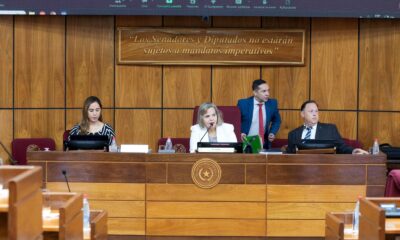 Comisión de Asuntos Constitucionales del Senado. Foto: Gentileza.