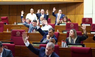 Plenaría de la Cámara de Senadores. Foto: Gentileza.