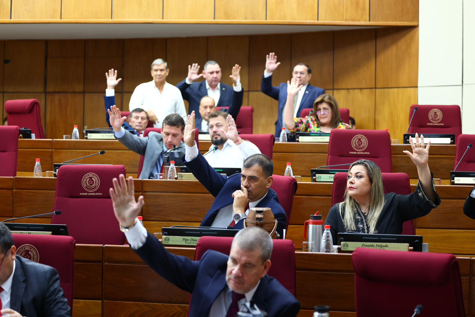 Plenaría de la Cámara de Senadores. Foto: Gentileza.