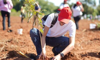 Campaña "Planta un árbol" de A todo pulmón. Foto: Gentileza.