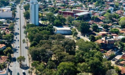 Asunción, San Vicente donde preteneden talar árboles para construir un supermercado. Foto: Fotociclo.