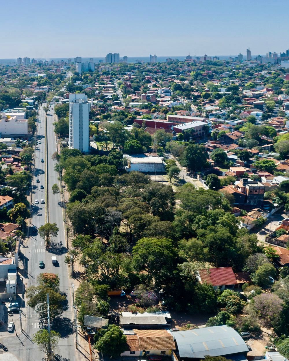 Asunción, San Vicente donde preteneden talar árboles para construir un supermercado. Foto: Fotociclo.