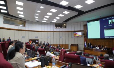 Cámara de Senadores. Foto: Gentileza. Archivo.