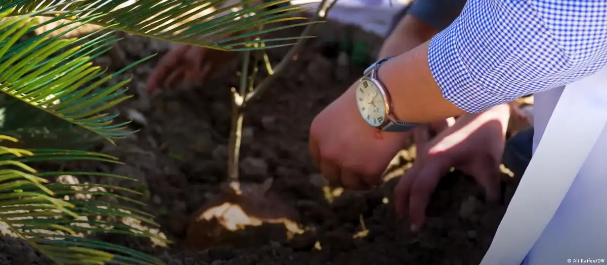 Plantando un árbol. Foto referencial. DW.