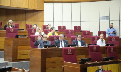 Comisión del Senado se reunió en el Congreso. Foto: Gentileza.