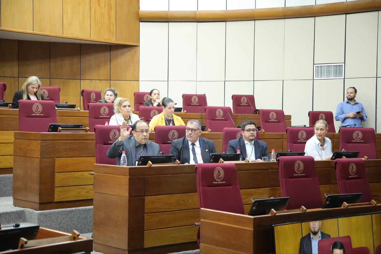 Comisión del Senado se reunió en el Congreso. Foto: Gentileza.