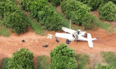 La avioneta contaba con chapa clonada. Foto: el poder.com