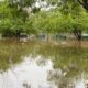 El parque Ñu Guasú quedó bajo agua. Foto: MOPC.