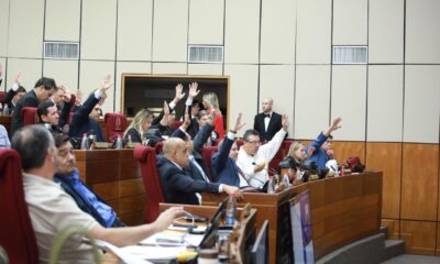 Sesión del Senado. Foto: Gentileza.