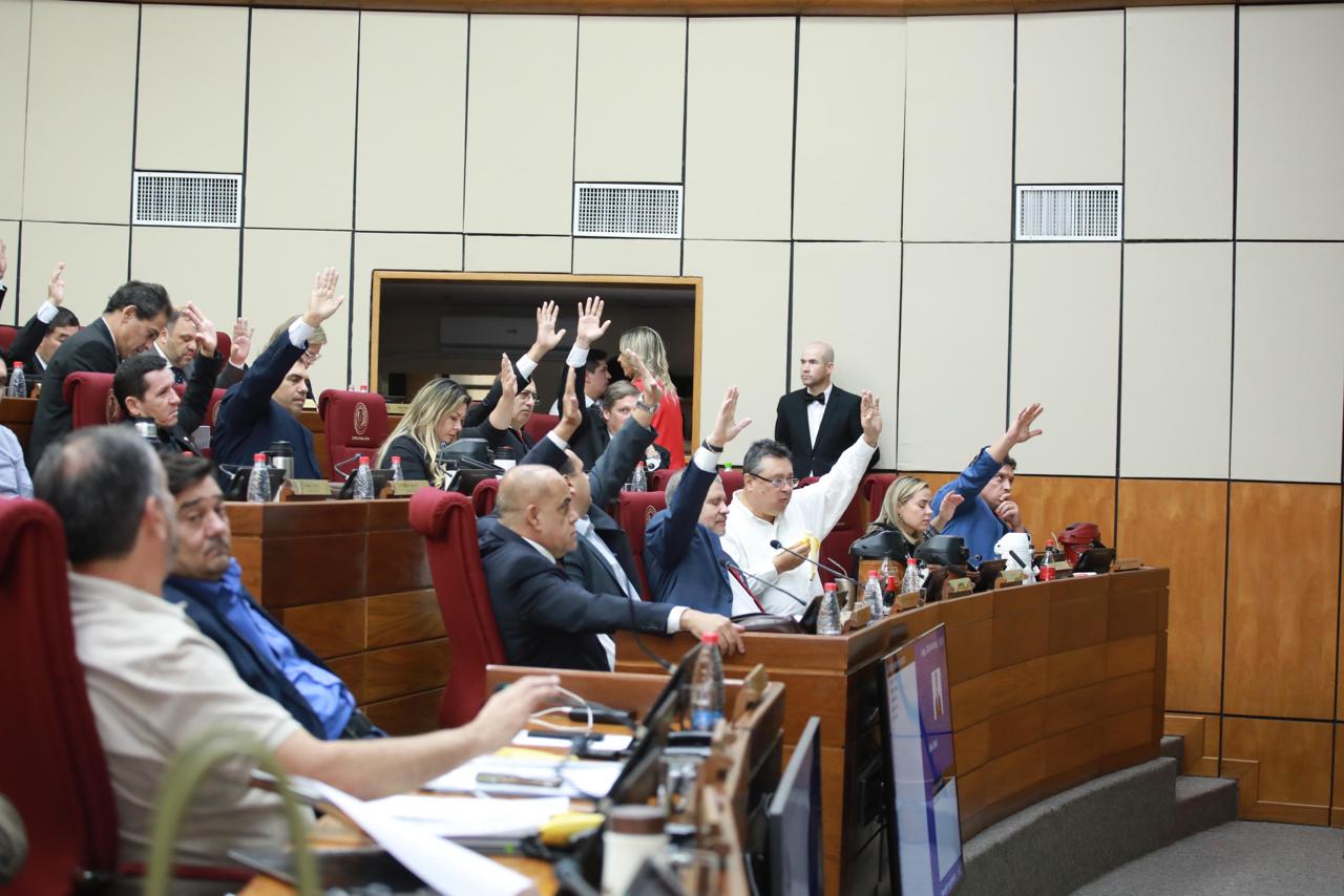 Sesión del Senado. Foto: Gentileza.