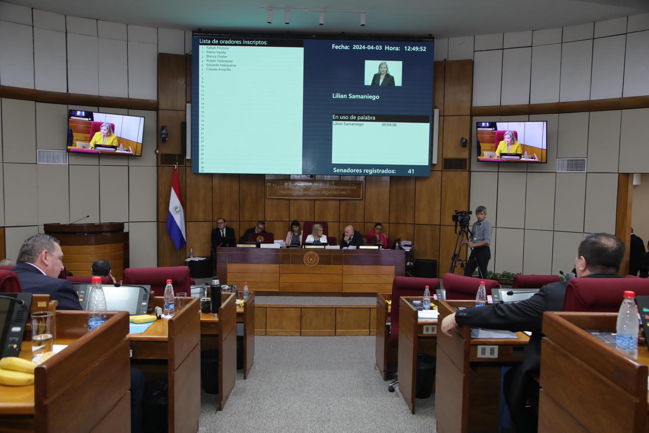 Plenaria de la Cámara de Senadores. Foto: Gentileza.