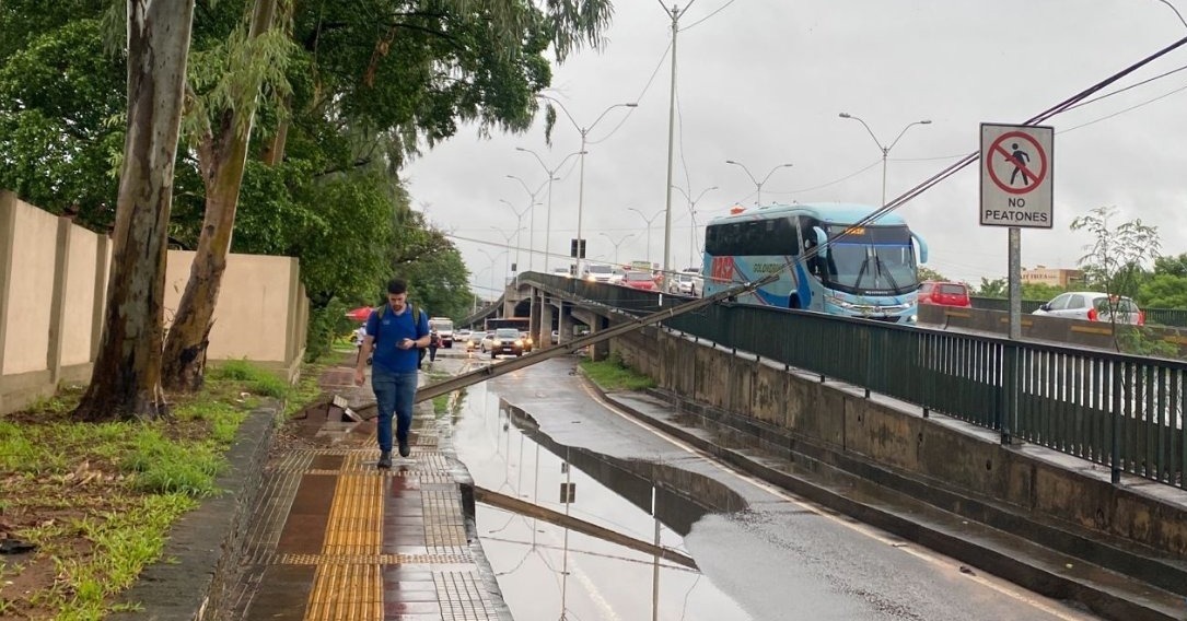 Una columna cayó sobre un bus. Foto: Ñanduti.