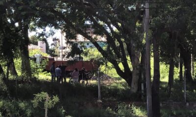 Piden que no se talen los árboles nativos en el "Bosque de San Vicente". Foto: Defensa Ecológica San Vicente.