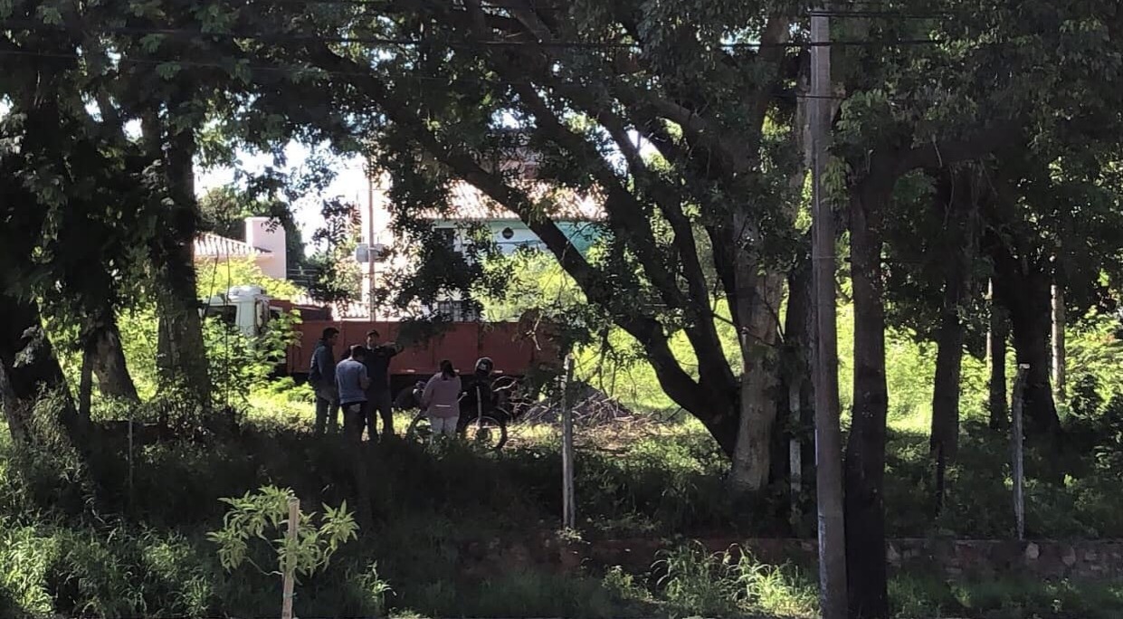 Piden que no se talen los árboles nativos en el "Bosque de San Vicente". Foto: Defensa Ecológica San Vicente.