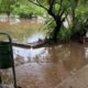 Parque Ñu Guasú bajo agua. Foto: Captura.