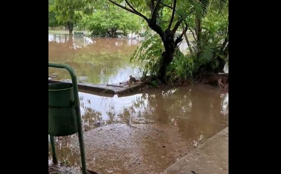 Parque Ñu Guasú bajo agua. Foto: Captura.