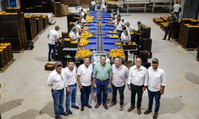 El titular de Agricultura y Ganadería, Carlos Giménez acompañó el envío de la segunda carga de caqui para la exportación a Valencia. Foto: MAG